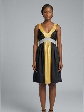 Arden B Yellow and Black V-Neck Empire Waist Dress